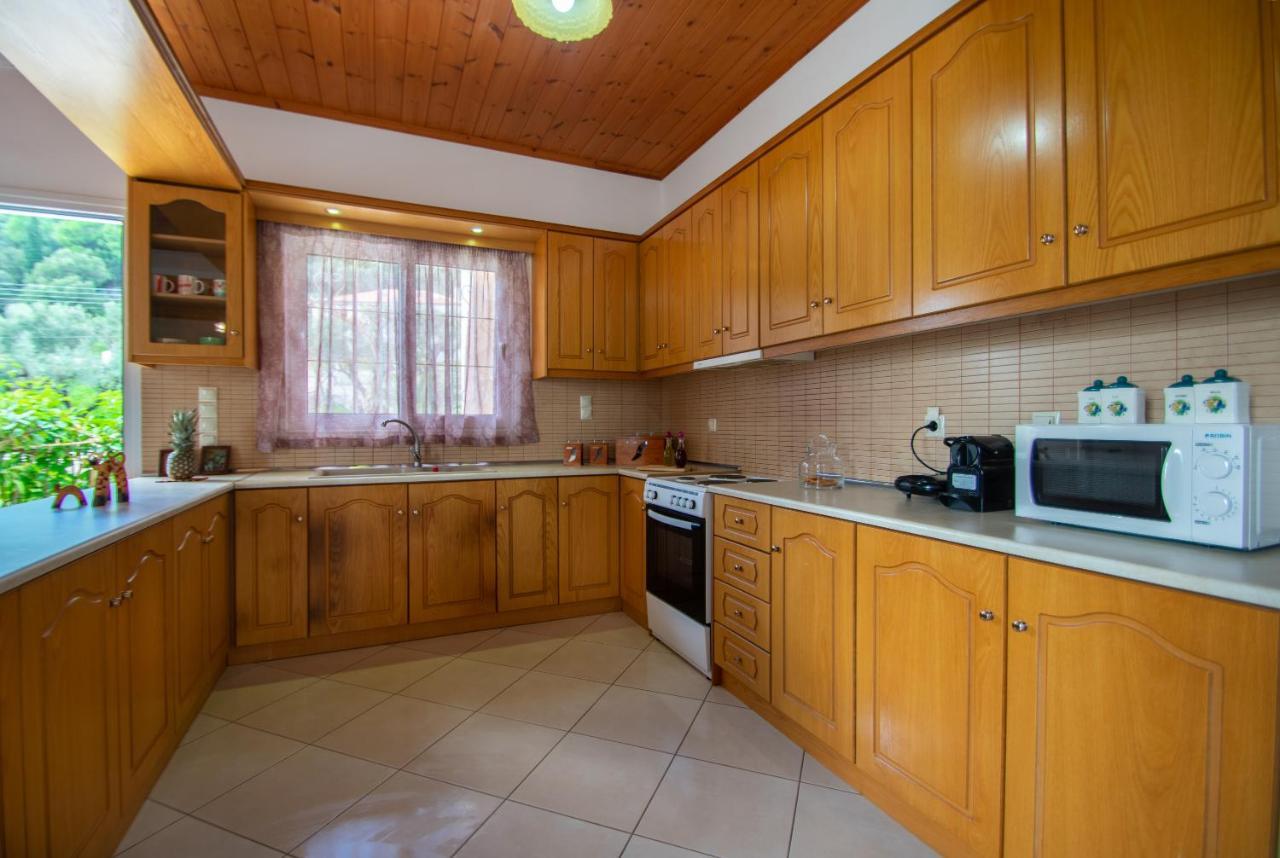 Family Private Homes & Sea View Lithakia  外观 照片
