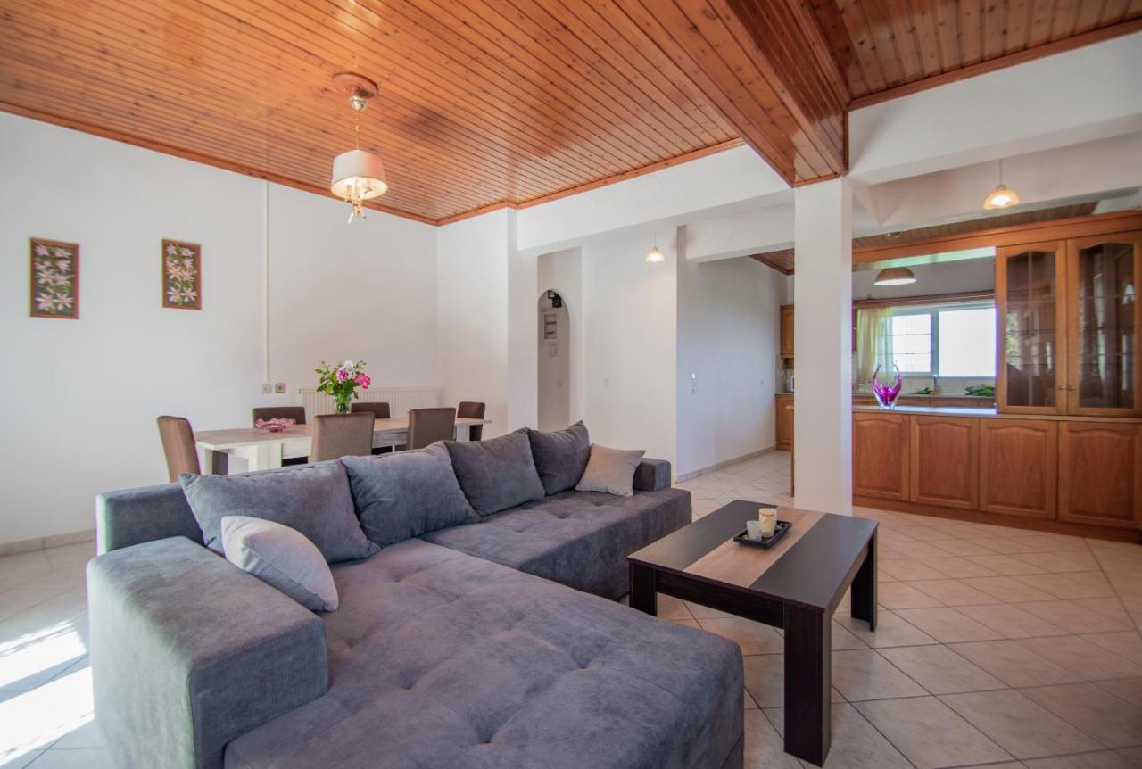 Family Private Homes & Sea View Lithakia  外观 照片